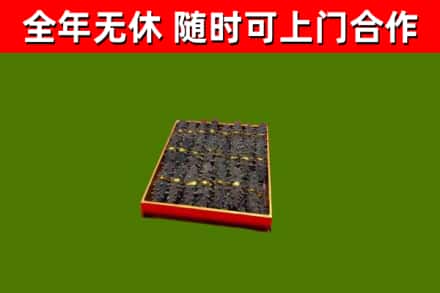 逊克县回收海参